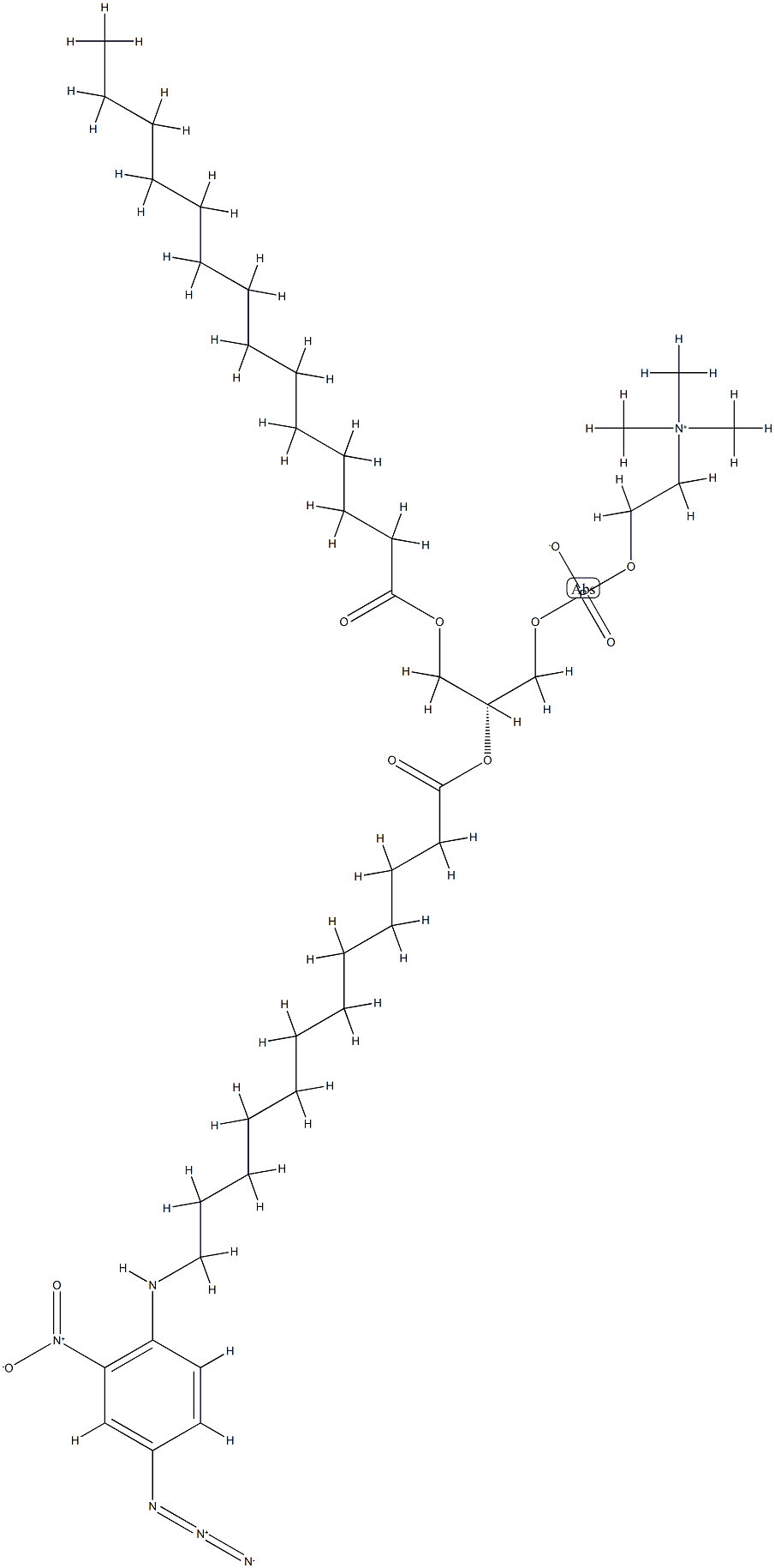 1-myristoyl-2-(12-N-(4-azido-2-nitrophenyl)aminododecanoyl)phosphatidylcholine
