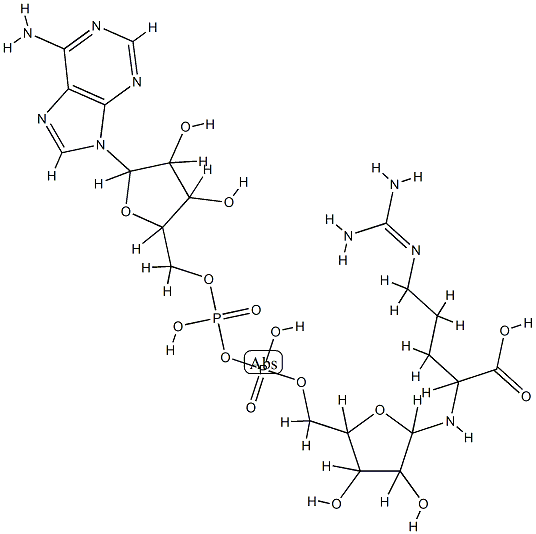 ADP-ribosylarginine