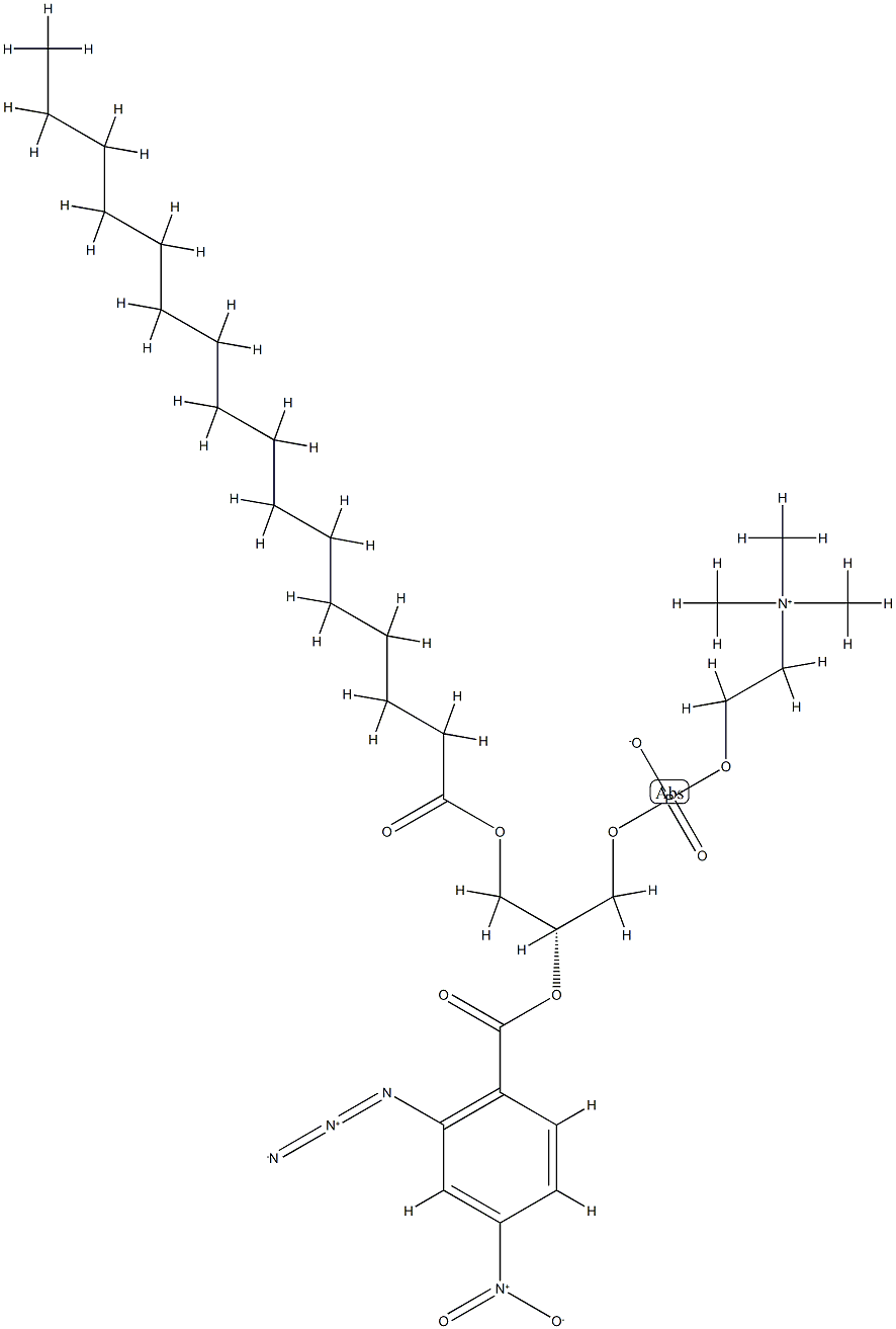 1-palmitoyl-2-(2-azido-4-nitro)benzoyl-glycero-3-phosphocholine