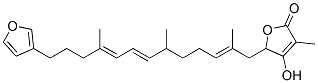PALINURIN