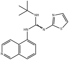 3-isoquinolin-5-yl-2-tert-butyl-1-(1,3-thiazol-2-yl)guanidine