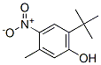 3-Methyl-6-tert-butyl-4-nitrophenol