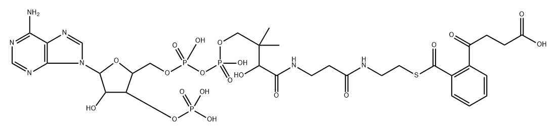 2-succinylbenzoyl-coenzyme A