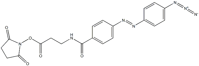 N-(4-(4-azidophenylazo)benzoyl)-3-aminopropyl-N'-oxysuccinimide ester