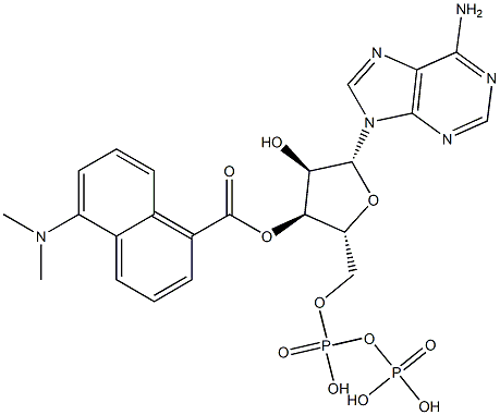 (5-(dimethylamino-1-naphthoyl))adenosine diphosphate
