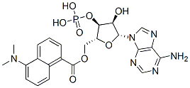(5-(dimethylamino)-1-naphthoyl)adenosine monophosphate