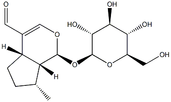 (1S)-1-(β-D-Glucopyranosyloxy)-1,4aα,5,6,7,7aα-hexahydro-7β-methylcyclopenta[c]pyran-4-carbaldehyde