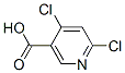 4,6-DichloronicotinicAcid