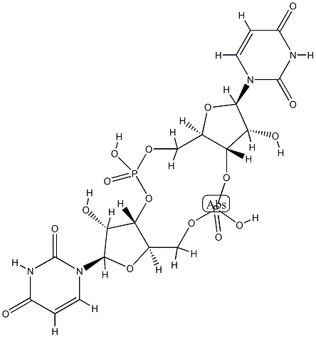 bis(3'-5')cyclic diuridine monophosphate