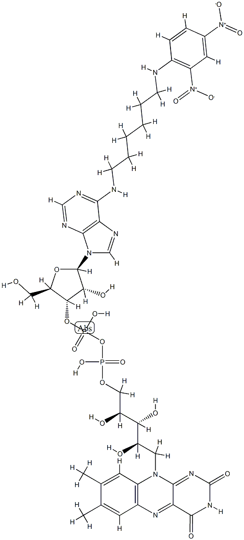 flavin N(6)-(N'-2,4-dinitrophenyl-6-aminohexyl)adenine