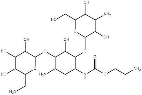 1-N-(2-aminoethoxycarbonyl)kanamycin A