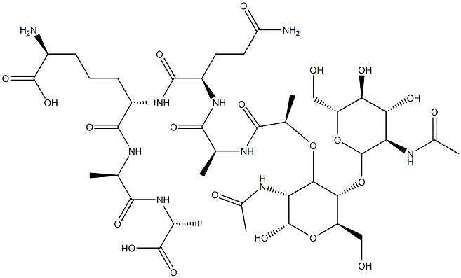 peptidoglycan monomer