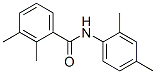 Benzamide, N-(2,4-dimethylphenyl)-2,3-dimethyl- (9CI)