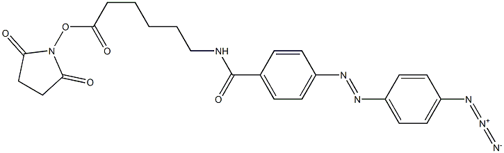 N-(4-(4-azidophenylazo)benzoyl)-6-aminohexyl-N'-oxysuccinimide ester