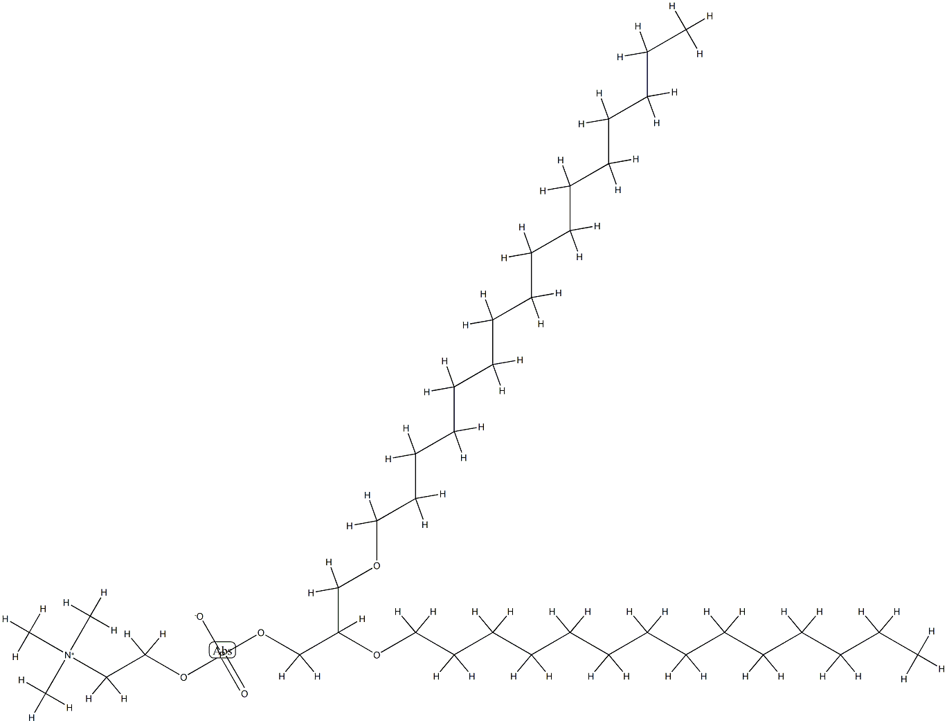 1-hexadecyl-2-tetradecyl-glycero-3-phosphocholine