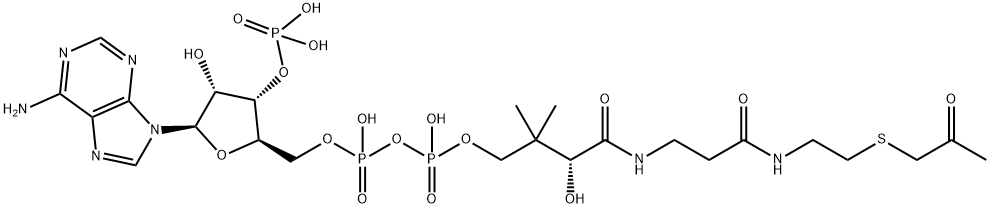 acetonyl-coenzyme A