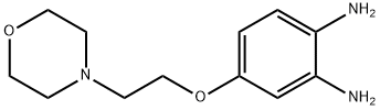 4-(2-Morpholinoethoxy)benzene-1,2-diaMine triHCl