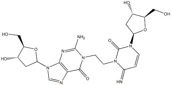 1-(N(3)-deoxycytidyl)-2-(N(1)-deoxyguanosinyl)ethane