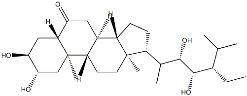 22S,23S-HOMOCASTASTERONE
