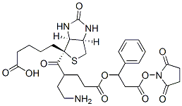 3-(4-biotinoyl-6-aminocaproyloxy)phenylpropionic acid N-hydroxysuccinimide ester