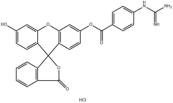 FLUORESCEIN MONO-P-GUANIDINOBENZOATE*HYD ROCHLORIDE