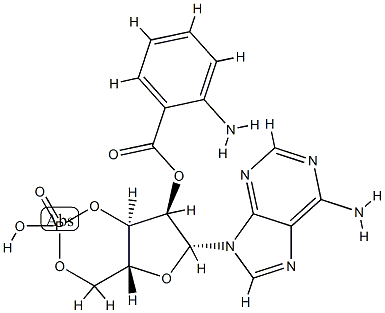 2'-O-anthraniloyl cyclic AMP