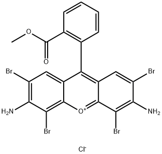 tetrabromorhodamine 123