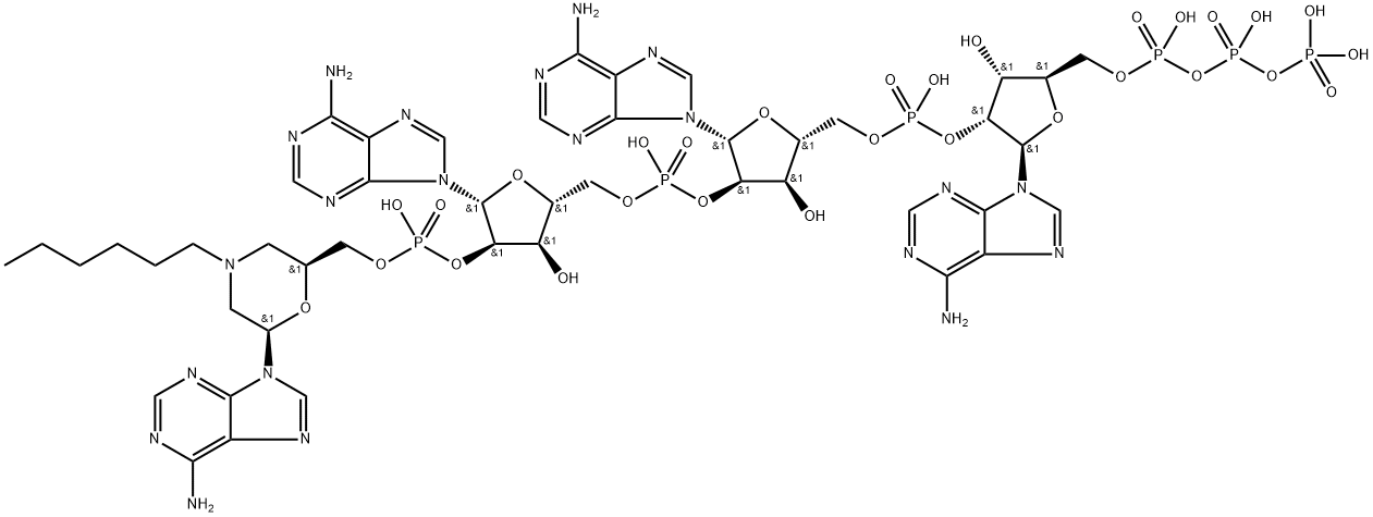 N-hexylmorpholine-2',5'-oligoadenylate