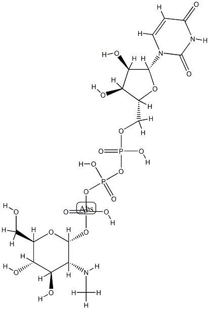 UDP-N-methylglucosamine phosphate