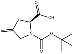 N-BOC-4-亚甲基-L-脯氨酸