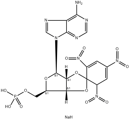 2',3'-O (2,4,6-trinitrocyclohexadienylidine)adenosine 5'-monophosphate