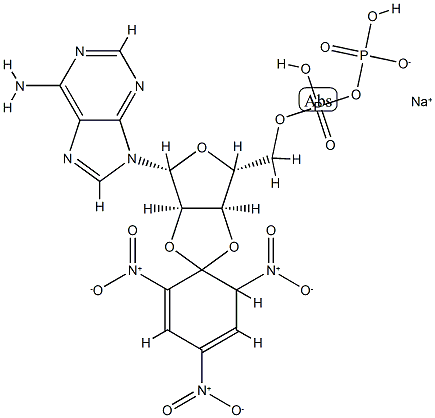 2',3'-(O-(2,4,6-trinitrocyclohexadienylidine))adenosine 5'-diphosphate