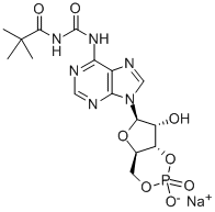 6-MBC-CAMP SODIUM SALT