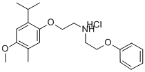 COR 28 10