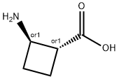 trans-2-Aminocyclobutane-1-carboxylic acid