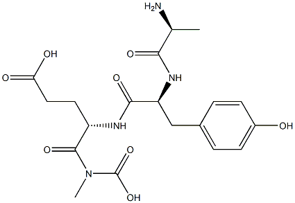 poly(alanyl-tyrosyl-glutamyl-glycine)