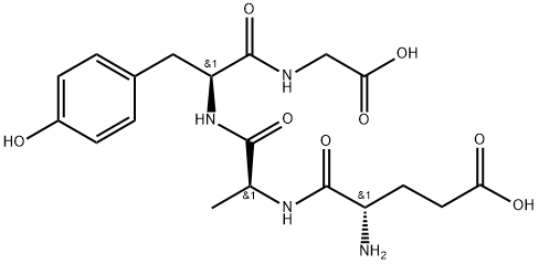 poly(glutamyl-alanyl-tyrosyl-glycine)