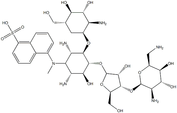 dansylparomomycin