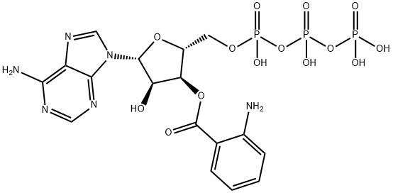 3'-O-anthraniloyl ATP
