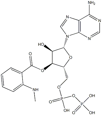 3'-O-(N-methylanthraniloyl)adenosine 5'-diphosphate