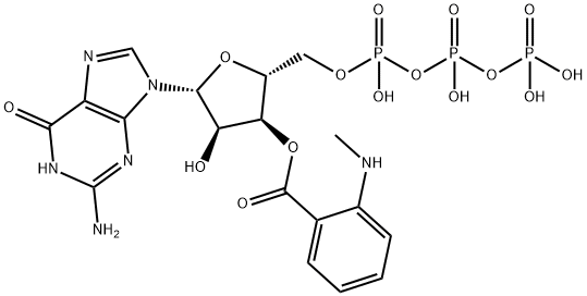 2'(3')-O-(N-methyl)anthraniloylguanosine 5'-triphosphate