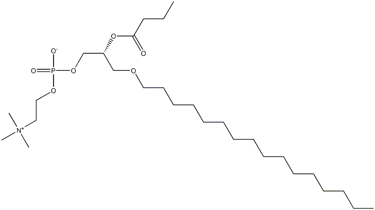 1-O-HEXADECYL-2-BUTYRYL-SN-GLYCERO-3-PHOSPHOCHOLINE;C16-04:0 PC