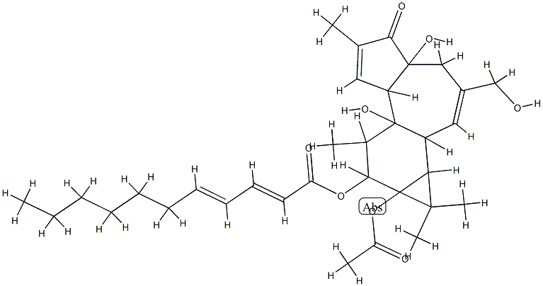 12-O-undecadienoylphorbol-13-acetate