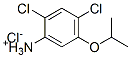 2,4-dichloro-5-isopropoxyanilinium chloride