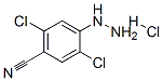 4-Cyano-2,5-dichlorophenylhydrazine hydrochloride