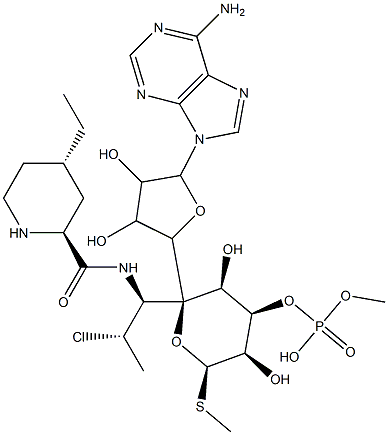 pirlimycin adenylate