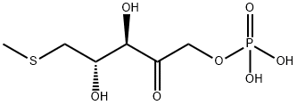 (3,4-dihydroxy-5-methylsulfanyl-2-oxo-pentoxy)phosphonic acid