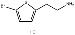 2-(5-溴-2-噻吩)乙胺盐酸盐