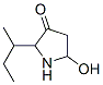 3-Pyrrolidinone,  5-hydroxy-2-(1-methylpropyl)-