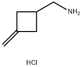 N-甲基-N-(3-亚甲基环丁基)胺